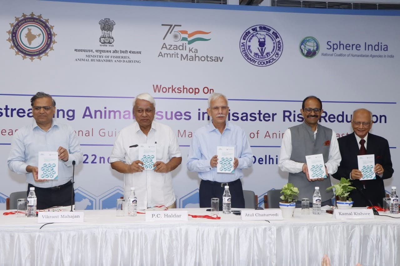 Centre for Disaster Risk Reduction and Management detail 1